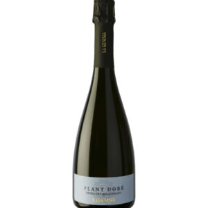 PLANT DORE' LA GENISIA